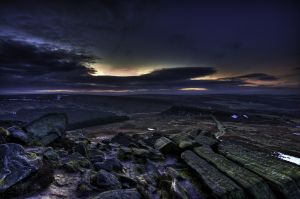 Higger Purple Dawn